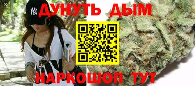 не бодяженный Гай