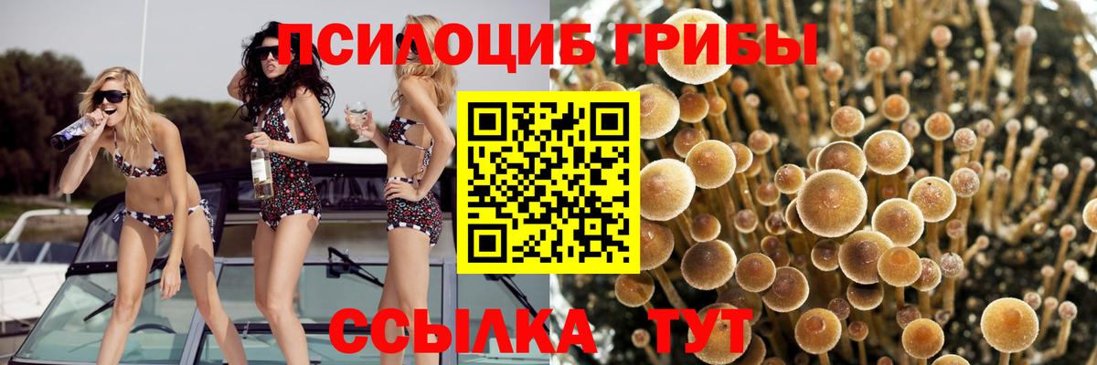 Мелеуз  Галлюциногенные грибы Magic Shrooms  Вход с VPN 
